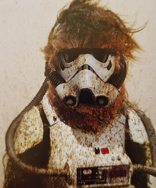 Un wookie stormtrooper. Questo concept non è divenuto realtà in Solo ma sarebbe stata una novità incredibile. Crediti a Lucasfilm.