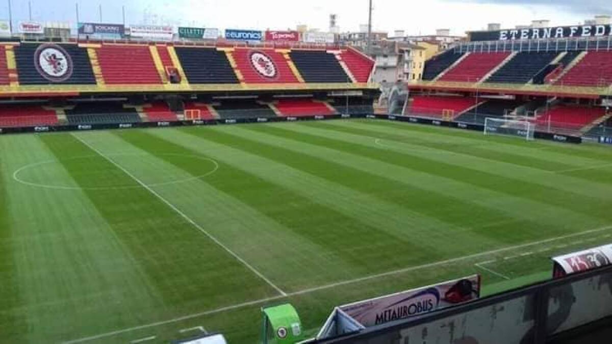 Lo Zac si fa bello, Foggia come i grandi campi inglesi - Zac, crediti: Magico Foggia/Francesco Zenga