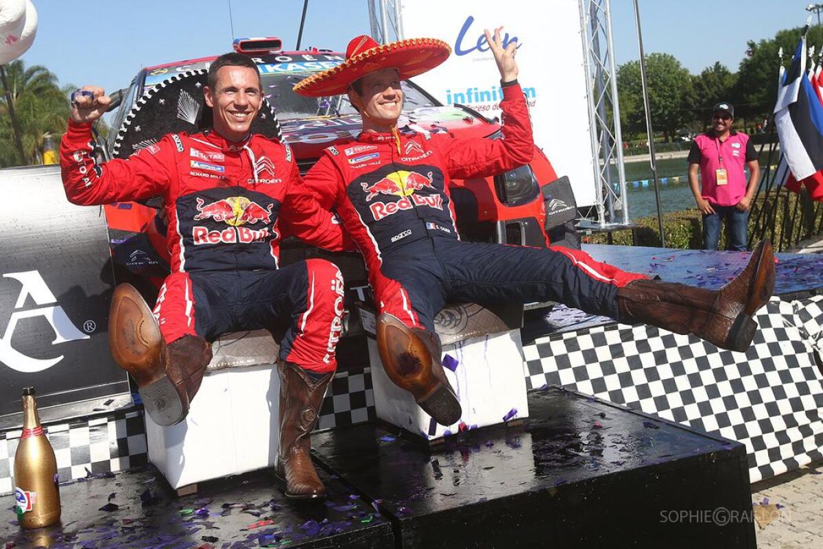 Rally del Messico: le pagelle IGNORANTI - 