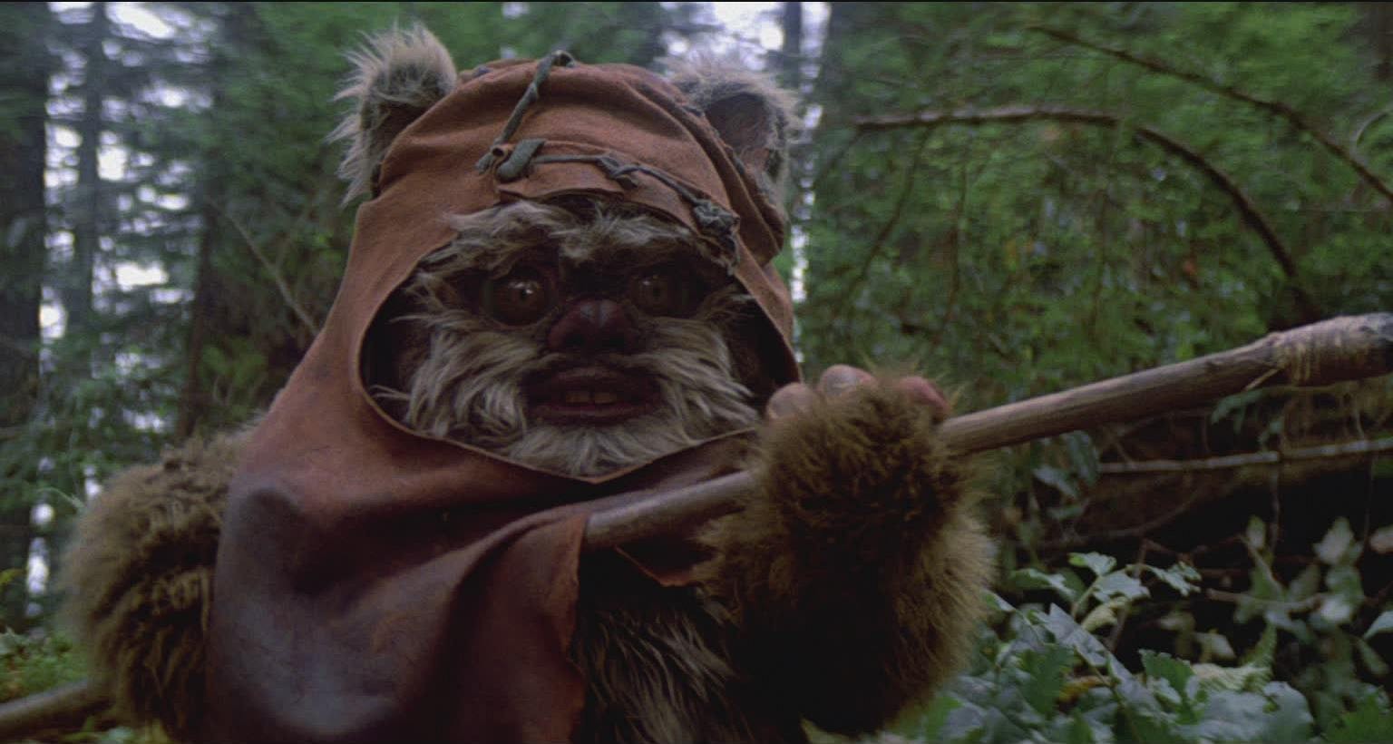 Meglio non farli incazzare questi Ewok.Da: starwars.com