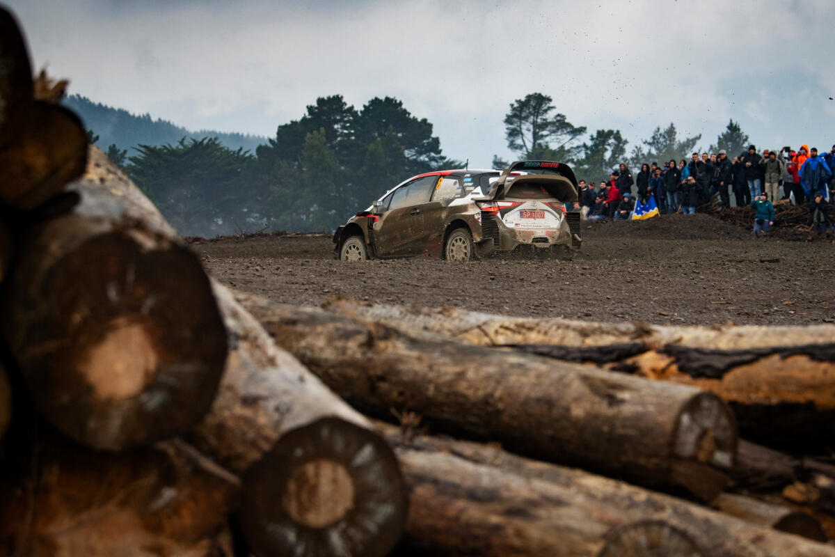 Rally del Cile: Tanak in vetta, polemica sicurezza - 