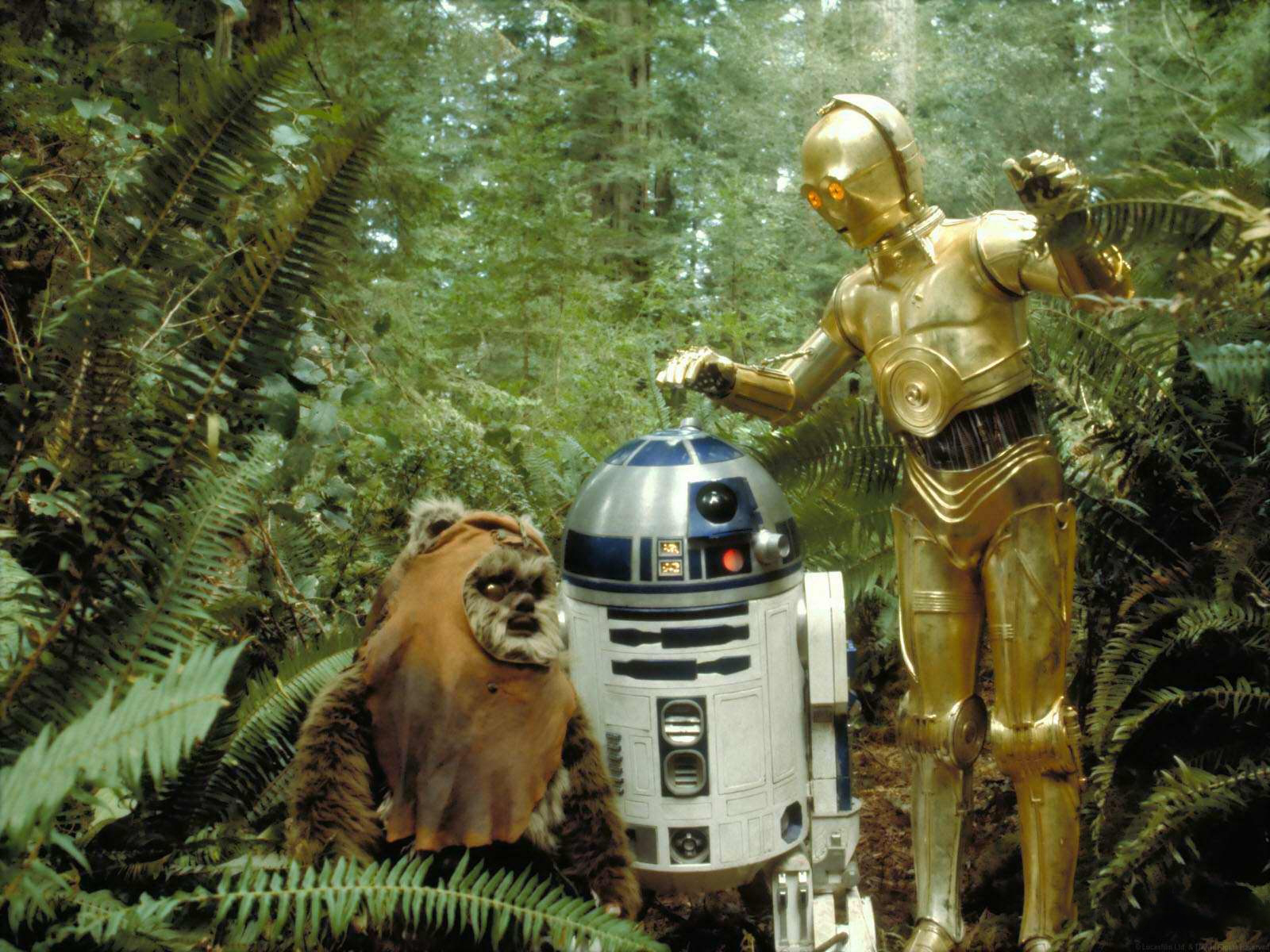 R2-D2 e C3PO nel Ritorno dello Jedi.Fonte: WallpaperSafari