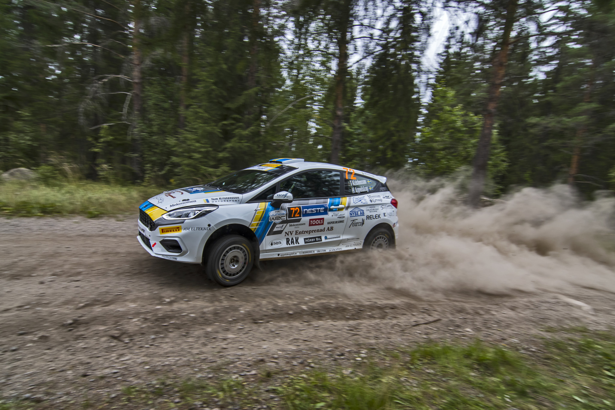 La Finlandia è uno di quei rally in cui anche le "piccole" possono regalare gioie (Copyright Aldo Franzosi)
