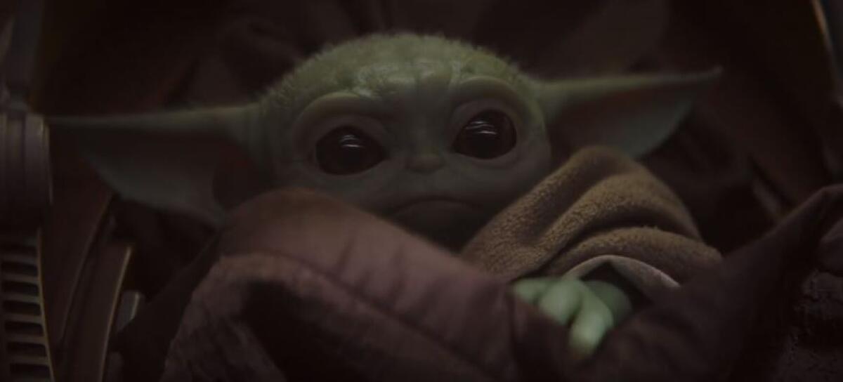 Tutto quello che c'è da sapere su "Baby Yoda" e gli errori da non fare - Il cucciolo della stessa specie di Yoda
