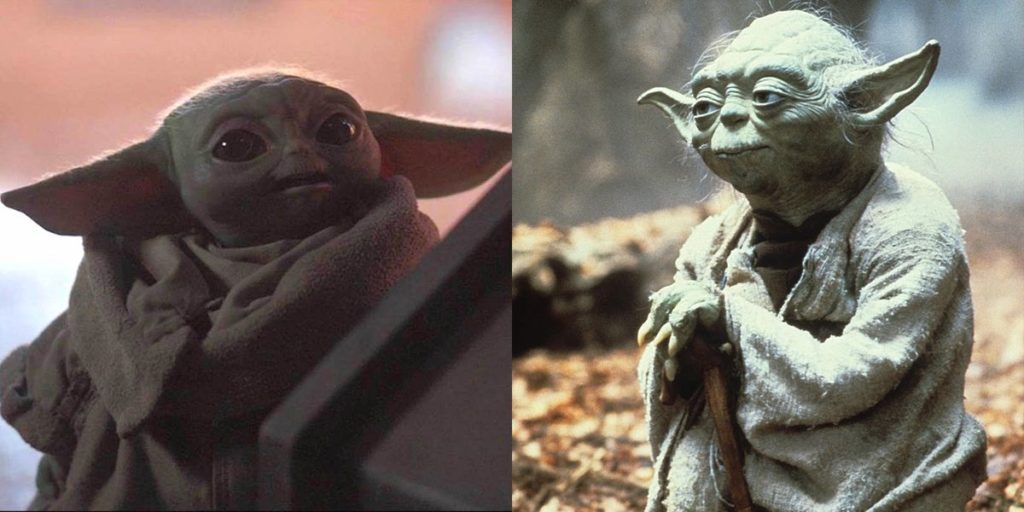 Il Maestro Yoda e l'altro giovane rappresentante della sua specie