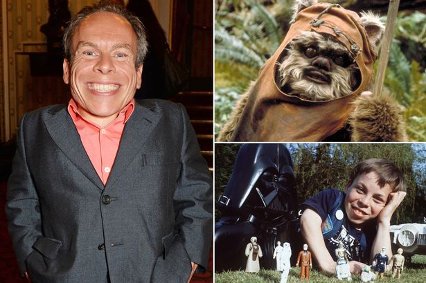 A sx Warwick Davis oggi, a dx da piccolo e nel costume di Wicket l'Ewok.