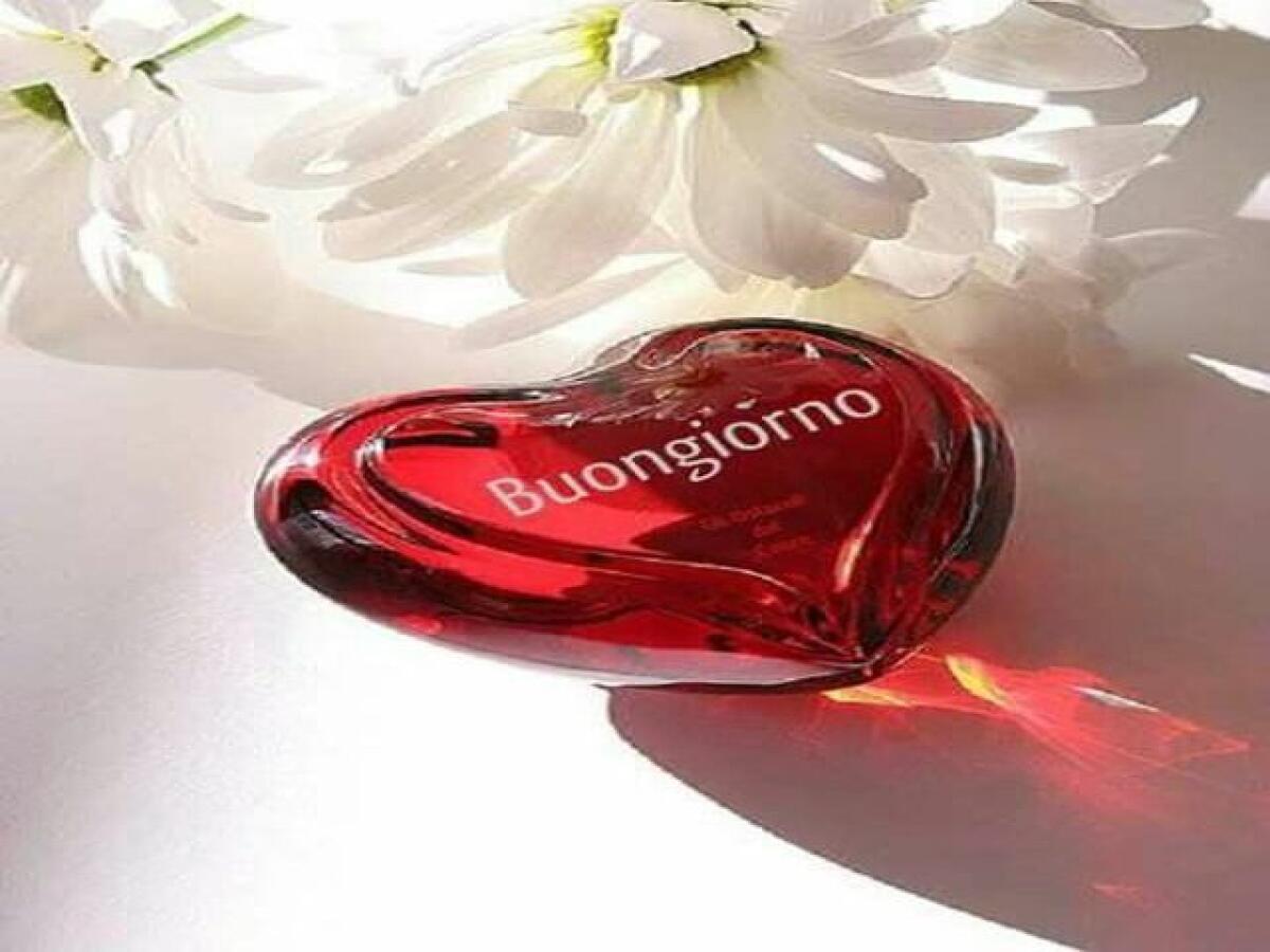 Immagini buongiorno amore: 110 immagini con frasi d'amore e video per dire ti amo - 