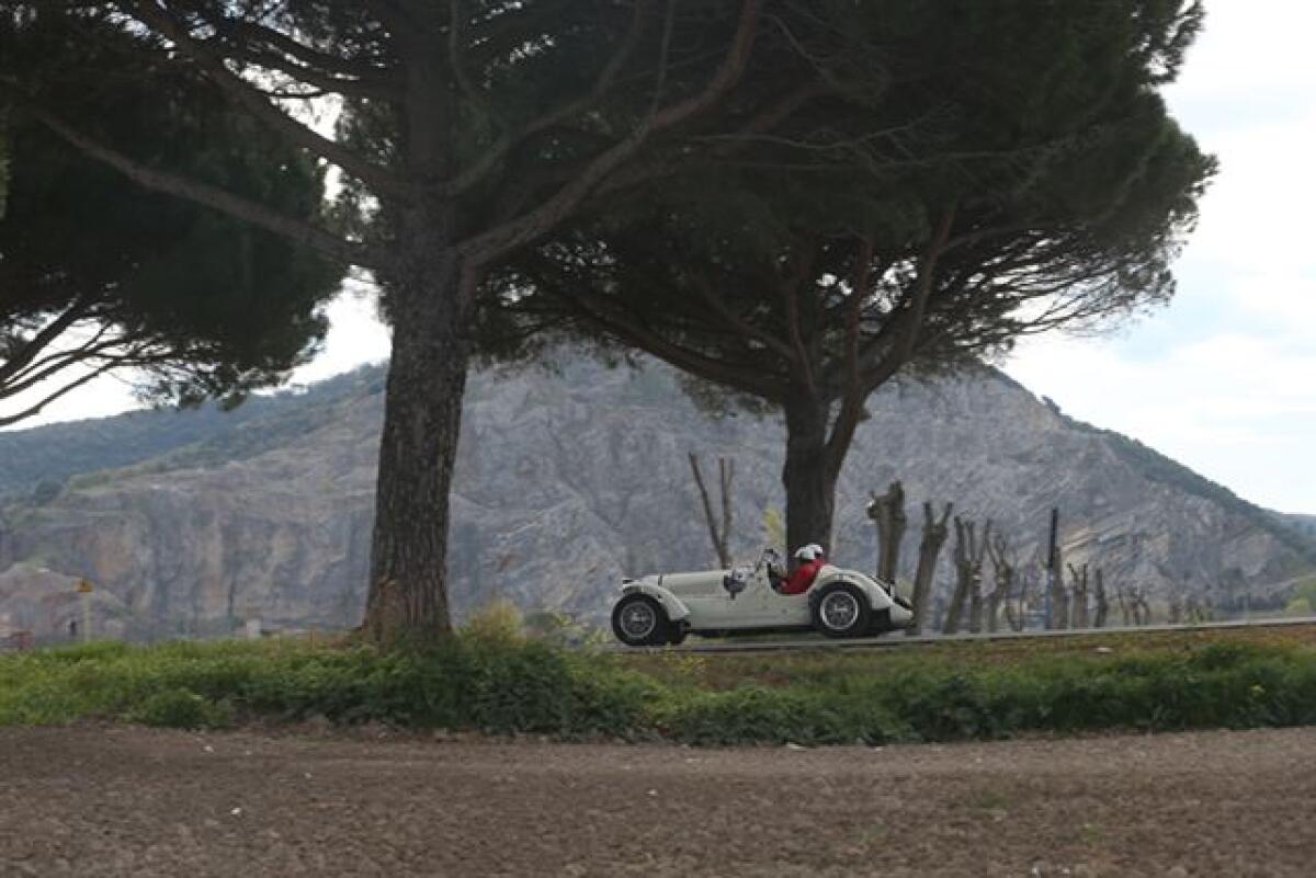 X° edizione per il Terre di Canossa - 
