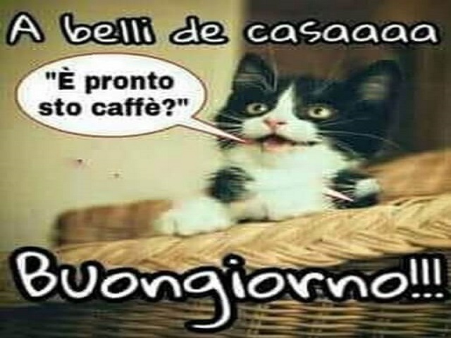 A belli de casaaaaaaaa è pronto sto caffè? Buongiorno!!!