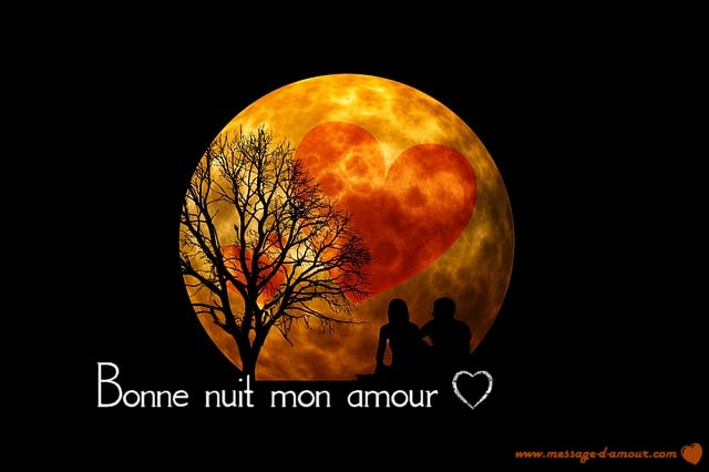 Bonne nuit mon amour (Buona notte amore mio)