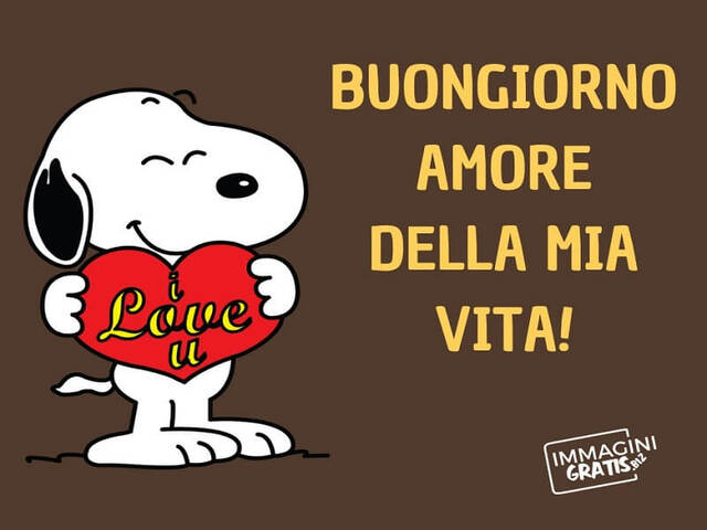 Buongiorno amore della mia vita!
