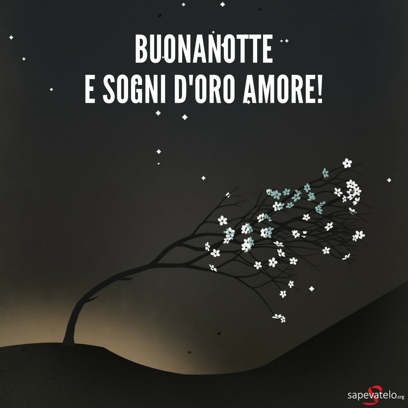 Buonanotte e sogni d'oro amore!