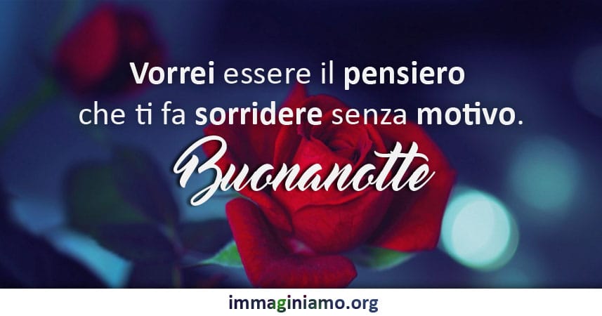Vorrei essere il pensiero che ti fa sorridere senza motivo. Buonanotte