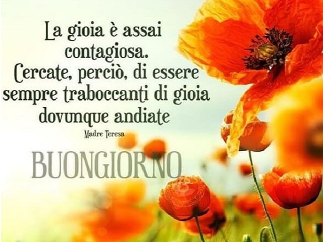 La gioia è assai contagiosa. Cercate, perciò, di essere sempre traboccanti di gioia dovunque andiate (Madre Teresa)