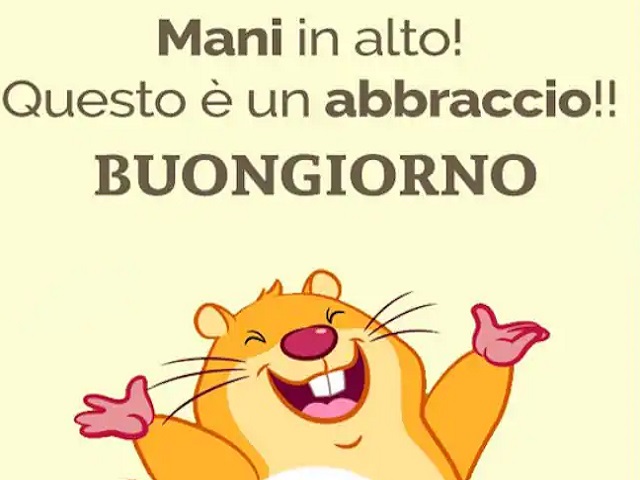 Mani in alto! Questo è un abbraccio!! Buongiorno.