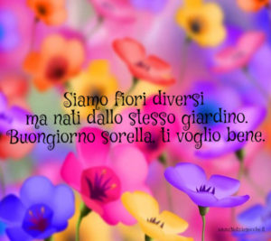 Siamo fiori diversi, ma nati dallo stesso giardino. Buongiorno sorella ti voglio bene