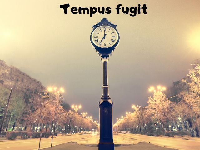 Tempus fugit (Il tempo fugge)