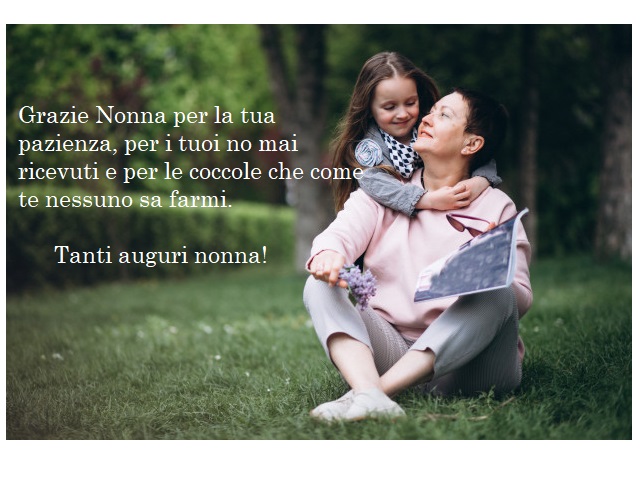 Grazie nonna per la tua pazienza,per i tuoi no mai ricevuti e per le coccole che come te nessuno sa farmi. Tanti auguri nonna!