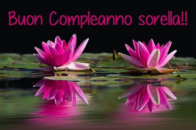 Buon compleanno sorella!!