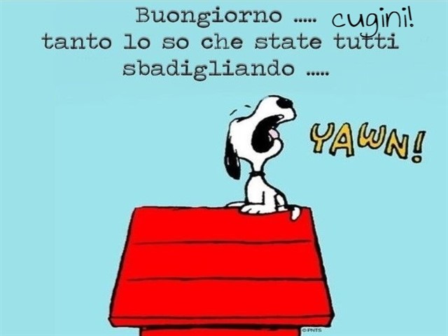Buongiorno... cugini ... tanto lo so che state tutti sbadigliando...