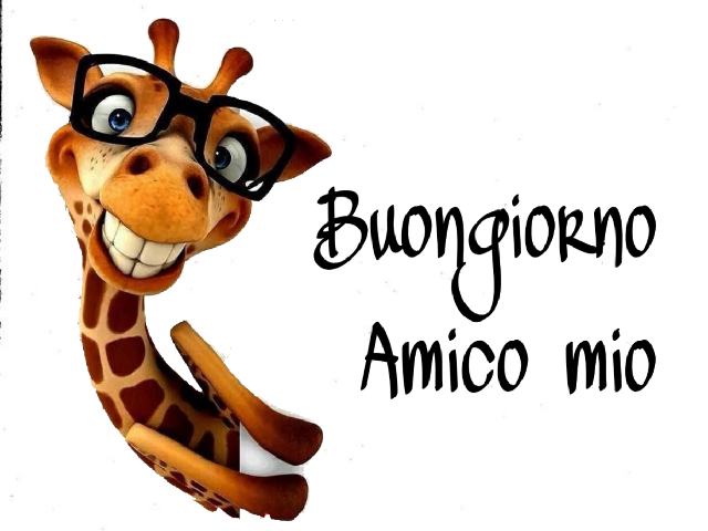 Buongiorno amico mio