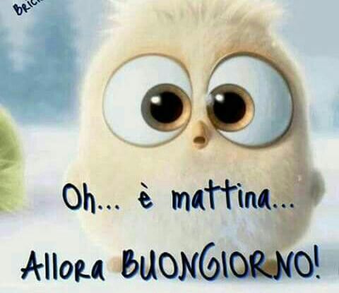 Oh... è mattina... Allora Buongiorno!