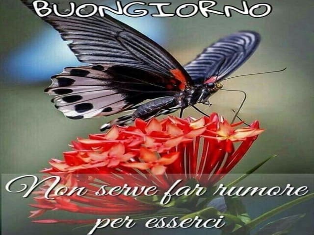 Buongiorno Non serve far rumore per esserci