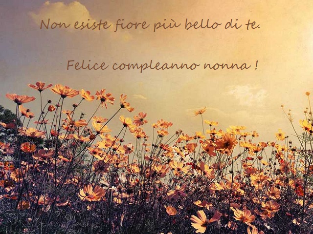 Non esiste fiore più bello di te. Felice compleanno nonna!