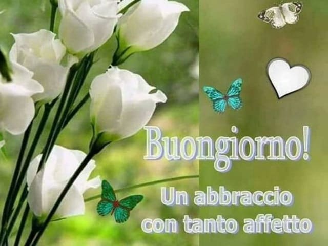 Buongiorno! Un abbraccio con tanto affetto.