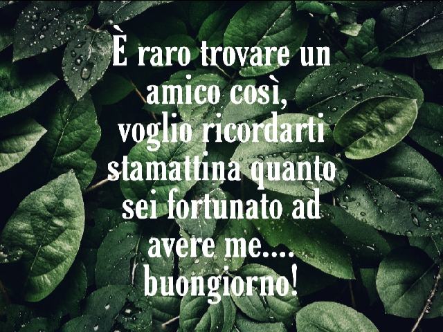 È raro trovare un amico così, voglio ricordarti stamattina quanto sei fortunato ad avere me... Buongiorno!
