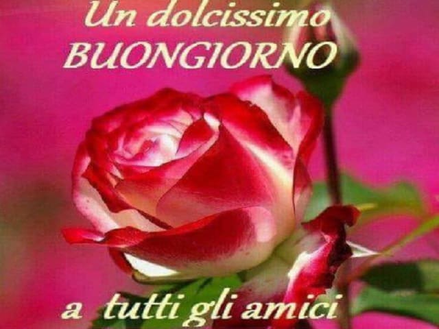 Un dolcissimo buongiorno a tutti gli amici