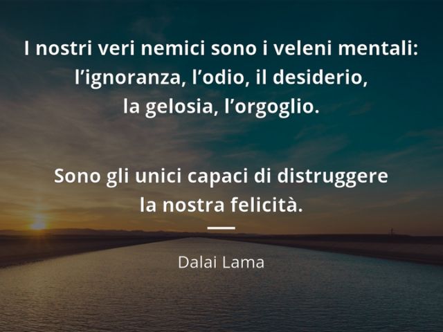 I nostri veri nemici sono i veleni mentali: l'ignoranza, l'odio, il desiderio, la gelosia, l'orgoglio. Sono gli unici capaci di distruggere la nostra felicità. (Dalai Lama)