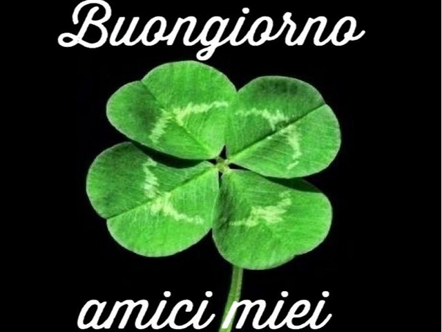 Buongiorno amici miei