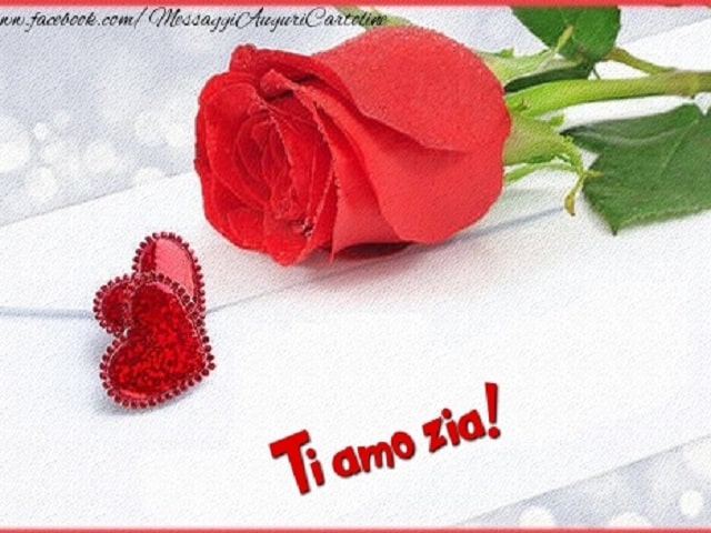 Ti amo zia!