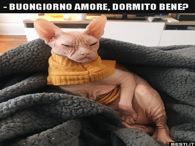Buongiorno amore, dormito bene?