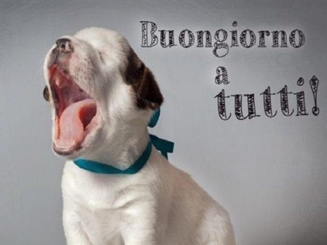 Buongiorno a tutti!