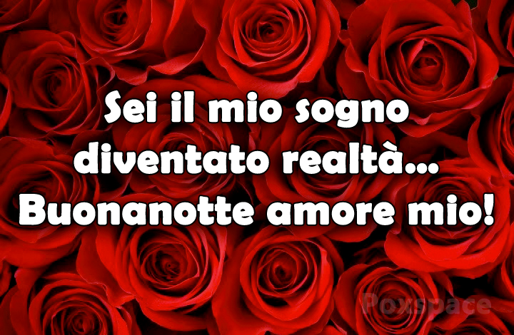 Sei il mio sogno diventato realtà... buonanotte amore mio!
