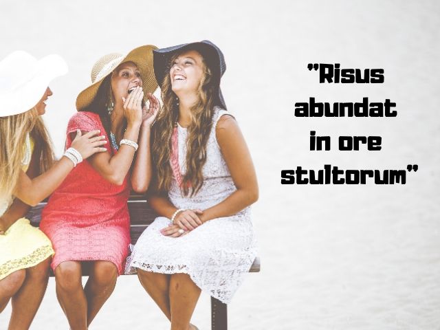 Risus abundat in ore stultorum (Il riso è abbondante sulla bocca degli sciocchi)