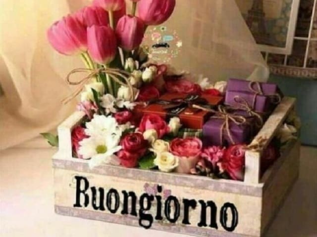 Buongiorno