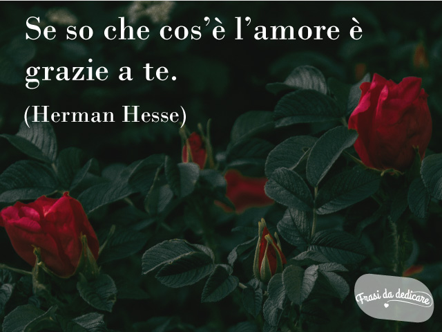 Se so che cos'è l'amore è grazie a te. (Herman Hesse)