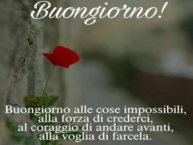 Buongiorno alle cose impossibili, alla forza di crederci, al coraggio di andare avanti, alla voglia di farcela.