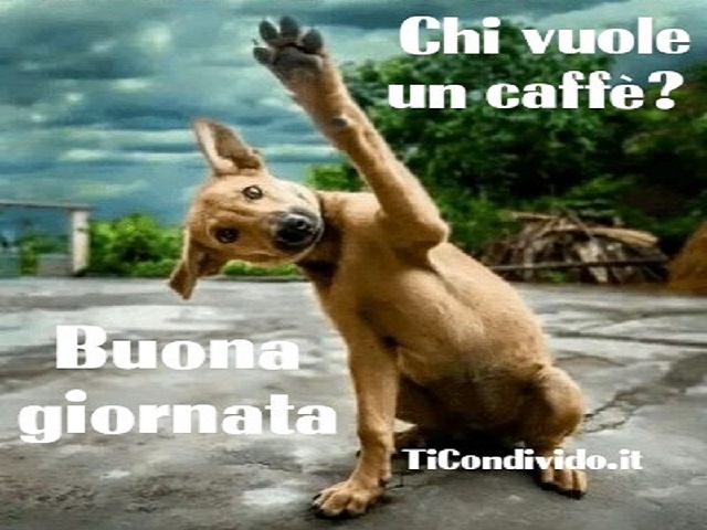 Chi vuole un caffè? Buona giornata