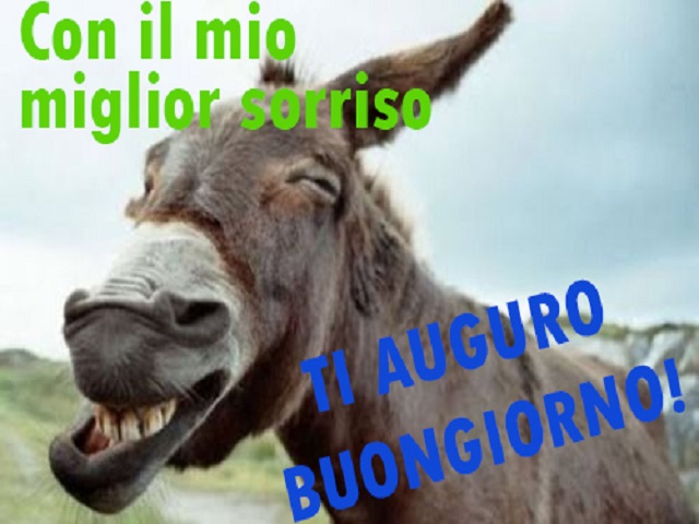 Con il mio miglior sorriso ti auguro buongiorno!