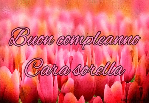 Buon compleanno Cara sorella