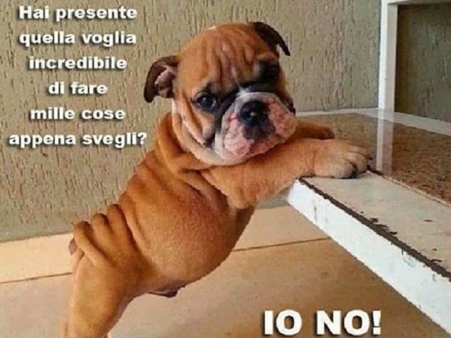Hai presente quella voglia incredibile di fare mille cose appena svegli? Io no!