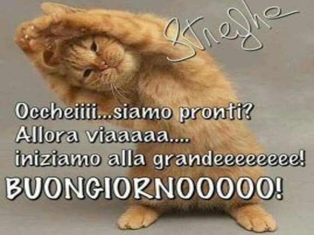 Occheiiiii... siamo pronti? Allora viaaaaa... iniziamo alla grandeeeeeeeee! Buongiornoooooo!