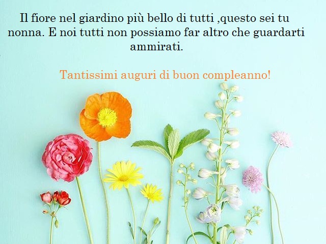 Il fiore nel giardino più bello di tutti, questo sei tu nonna. E noi tutti non possiamo far altro che guardarti ammirati. Tantissimi auguri di buon compleanno!