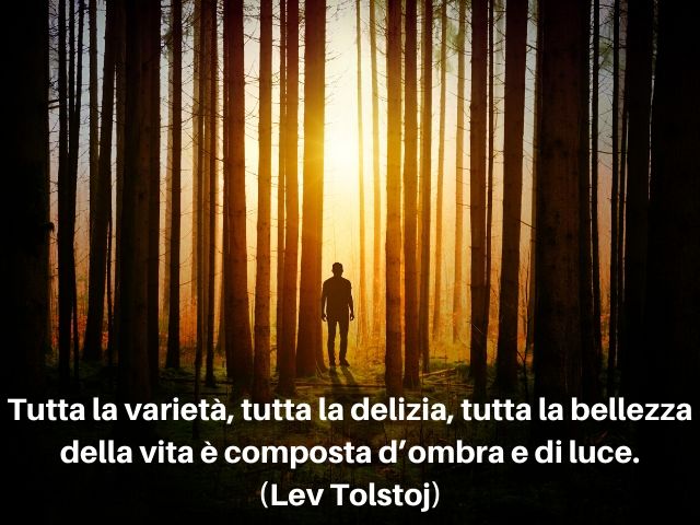 Tutta la varietà, tutta la delizia, tutta la bellezza della vita è composta d’ombra e di luce.(Lev Tolstoj)