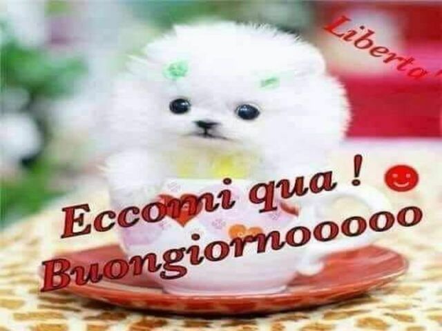 Eccomi qua! Buongiornooo