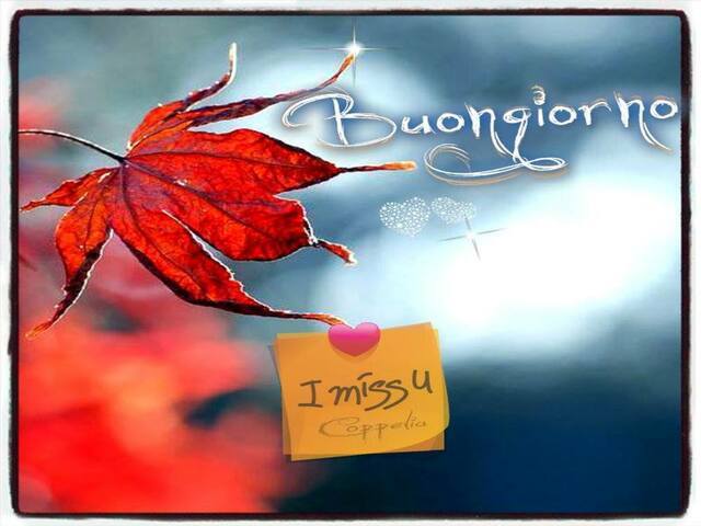 Buongiorno. I miss u (Mi manchi).